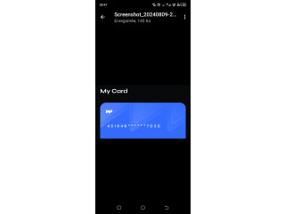Carte virtuelle visa pour vos achats en Chine et partout dans le monde,et pour vos publicités