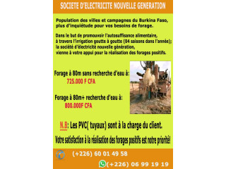 Société d'électricité nouvelle génération