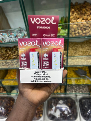 vozol-big-1