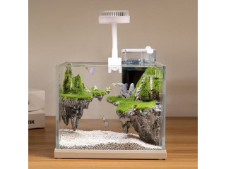 Aquarium de bureau