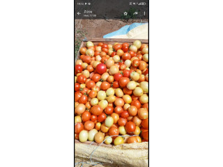 Tomate  et piment sens bon