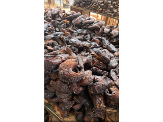 Silure de sourouTel76157130