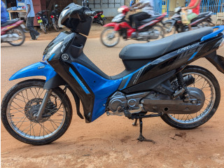 Fin 115