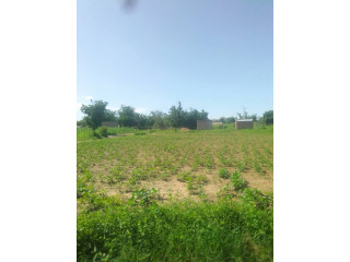 Terrain de 3 hectares disponible vers l'aéroport de Donsin