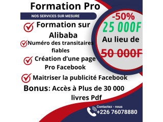 Formation Pro