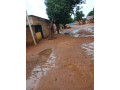 vente-cours-celibaterium-a-dogona-small-2