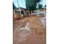 vente-cours-celibaterium-a-dogona-small-1