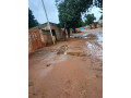 vente-cours-celibaterium-a-dogona-small-0