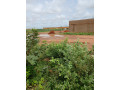parcelle-280m2-a-vente-dogona-small-2
