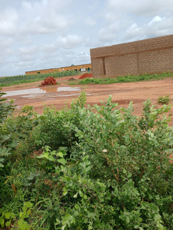 parcelle-280m2-a-vente-dogona-big-3