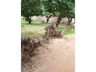 Terrains  avente DOGONA