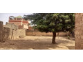 parcelle-en-vente-small-2
