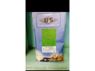 Des semences de gazon