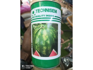 Des semences de pastèque