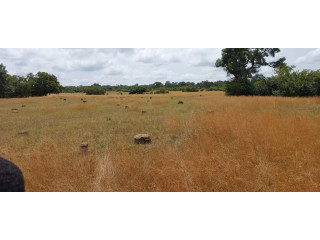 06Hectares à vente Badala