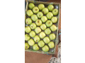 pommes-de-bonne-qualite-chez-djiguitougou-agroalimentaire-small-2