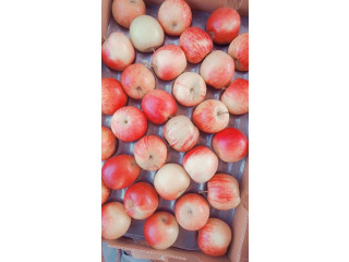 Pommes de bonne qualité chez djiguitougou agroalimentaire