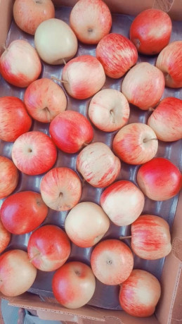 pommes-de-bonne-qualite-chez-djiguitougou-agroalimentaire-big-0