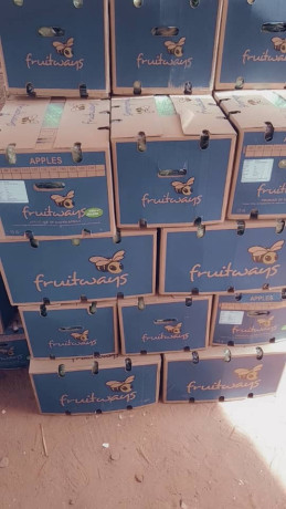 pommes-de-bonne-qualite-chez-djiguitougou-agroalimentaire-big-4