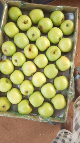 pommes-de-bonne-qualite-chez-djiguitougou-agroalimentaire-big-2