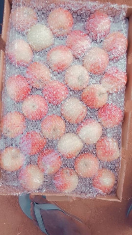 pommes-de-bonne-qualite-chez-djiguitougou-agroalimentaire-big-3
