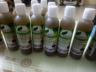 Shampooing de moringa