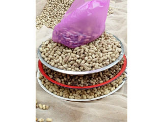 Vente d'arachide