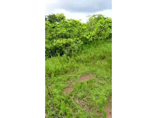 Vente d'un terrain 1hectar