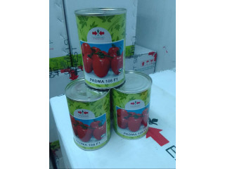 Tomate Diva F1- Tomate Padma