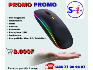 Souris Rechargeable Bluetooth