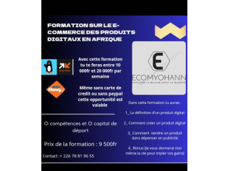 Formation sur le e-commerce des produits digitaux en afrique sous format pdf