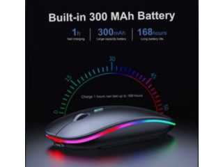 Souris d'ordinateur sans fil Bluetooth rechargeable, ergonomique silencieuse et adaptée aux jeux.