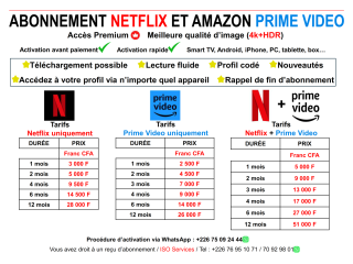 Abonnement Netflix Premium