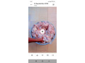 poulet-pattes-et-tetes-de-poulet-small-0
