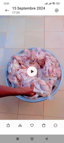 poulet-pattes-et-tetes-de-poulet-big-0