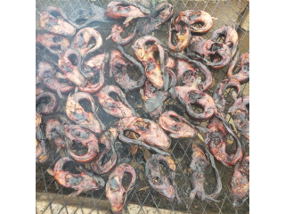 Poisson Silure fumé  d'eau douce