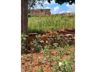 COURS a vente SARFALAO SECTEUR 26