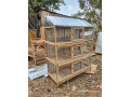 poulailler-small-2