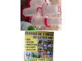 medecine-veterinaire-pour-le-bien-naitre-des-animaux-small-0