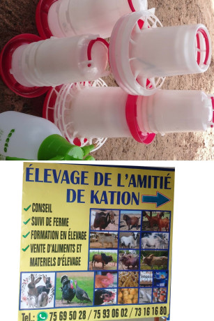 medecine-veterinaire-pour-le-bien-naitre-des-animaux-big-0