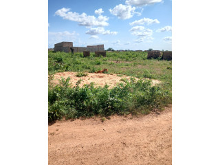 Terrains a vente Dogona