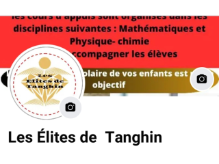 GROUPE LES ÉLITES DE TANGHIN, STRUCTURE ORGANISATRICE DES COURS D'APPUI,COURS À DOMICILE, ASSISTANCE TECHNIQUE APPUI CONSEILS