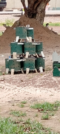 abreuvoir-et-mangeoire-big-1