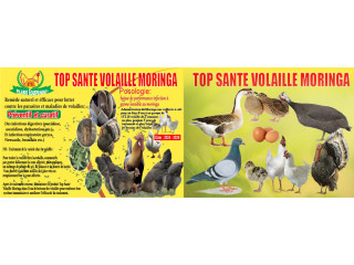 Top santé Volaille