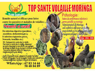 Top santé Moringa