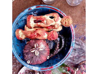 Récupérer votre ex à distance