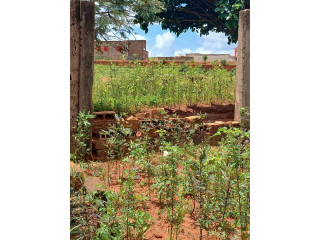 Cours INACHEVÉE #Clôture à vente