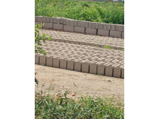 Terrains avente Dogona