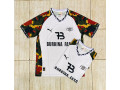 de-nouveau-maillot-disponible-small-2