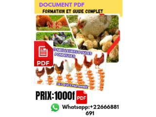 FORMATION D'ÉLEVAGE DE POULET